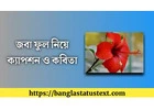 ফুল নিয়ে ক্যাপশন: ছবির জন্য সেরা ও মনছোঁয়া লাইন