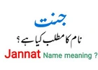 জান্নাত নামের অর্থ কি: অর্থ, উৎস ও তাৎপর্য নিয়ে আলোচনা