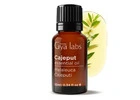 Discover the Versatility of Cajeput Essential Oil