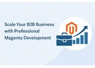 Scale Your B2B Business with Professional Magento Development