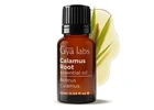 Calamus Essential Oil by Gya Labs for Natural Routines
