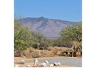 BLM Lands Near Phoenix AZ for RV Camping and Outdoor Adventures