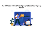 Top White Label WordPress Agency to Scale Your Agency Faster