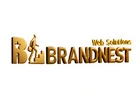 Digital Marketing & Web Development Company in Jaipur | BrandNest Web Solutions