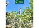 Experienced Tree Pruning Services in Melbourne for All Types of Trees