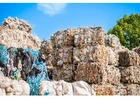 Waste Management Consultant | Elephants Foot
