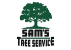 Tree Trimming Service​ Petaluma
