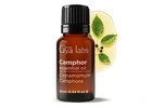 Camphor Essential Oil by Gya Labs for Daily Use