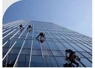 Professional Window Cleaning Sydney