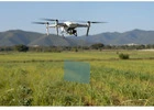Drone Agriculture Mapping