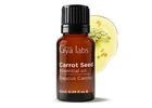 Gya Labs Carrot Seed Oil for Hair & Scalp Blends