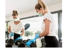 Top Gym Areas That Need Frequent Cleaning for Hygiene
