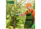 Professional Tree Cutters Melbourne for Safe and Efficient Services