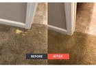 Expert Carpet Spot Dyeing in Sunshine Coast for Flawless Results