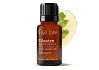 Gya Labs Cilantro Essential Oil for Aromatherapy Blends