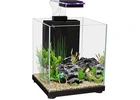 Fish Aquarium Shop in Sydney and Australia for Quality Tanks