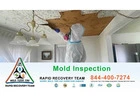 Florida Mold Inspection