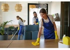 Professional Home Cleaning Solutions You Can Trust