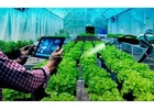 Find Best Nursery Business Software & Greenhouse ERP Here