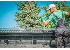 Gutter cleaning companies Canberra