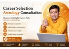 Book Professional Career Selection Astrology Consultation Online