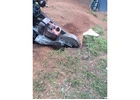 Stump Grinding Services in Sydney