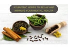 Natural Relief from Stress, Pain & Chronic Conditions with Ayurveda in Sydney