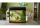 Your Trusted Aquarium Store in Australia for Quality Aquariums