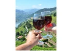 Wine Tours in Douro Valley