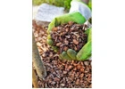 Mulching North Shore