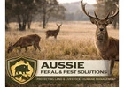 Trusted Feral Animal Control NSW Services for Complete Pest Management Solutions