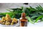 High-Quality Medical Cannabis Tincture for Daily Wellness