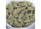 Buy AAAA Grade Weed Online in Canada