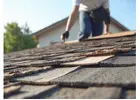 Professional Roof Services