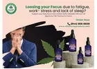 Full Spectrum CBD Tincture for Focus (Kosher)