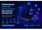 Professional Software Development Services for Enterprises