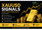 Best XAUUSD Trading Signals Provider for Gold Traders