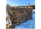 Reliable care from tree service bedford nh experts