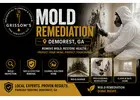 Mold Remediation