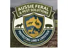 Professional Feral Pest Control NSW Solutions for Maximum Property Protection