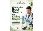 What are the Best Strains for Killing Cancer?