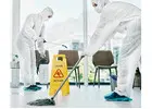 Hazard Clean Team | Specialist Biohazard Cleaning North East