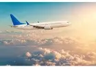 Top 5 Travel Agencies in USA