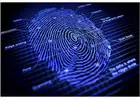 Livescan Fingerprinting Cost