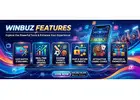 Winbuz Features Explained: Complete Guide
