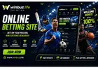 Online Betting Sites: Features, Types & Security