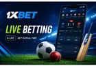 1xBet Live Sports Betting Guide -Live Match Betting Odds