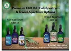 Premium CBD Oil | Full-Spectrum & Broad-Spectrum Options