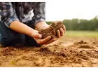Raise pH in soil