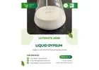 Liquid gypsum